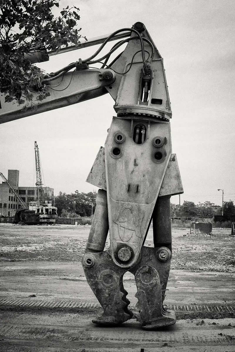 Black and White Winners from the 2025 AAP Magazine Awards