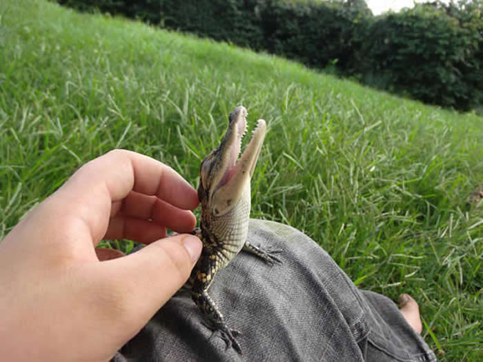 Adorable Baby Animals That Will Melt Your Heart