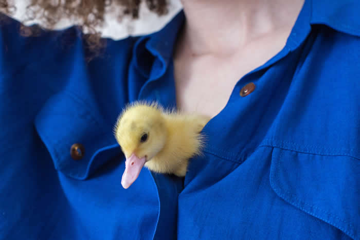 Adorable Baby Animals That Will Melt Your Heart