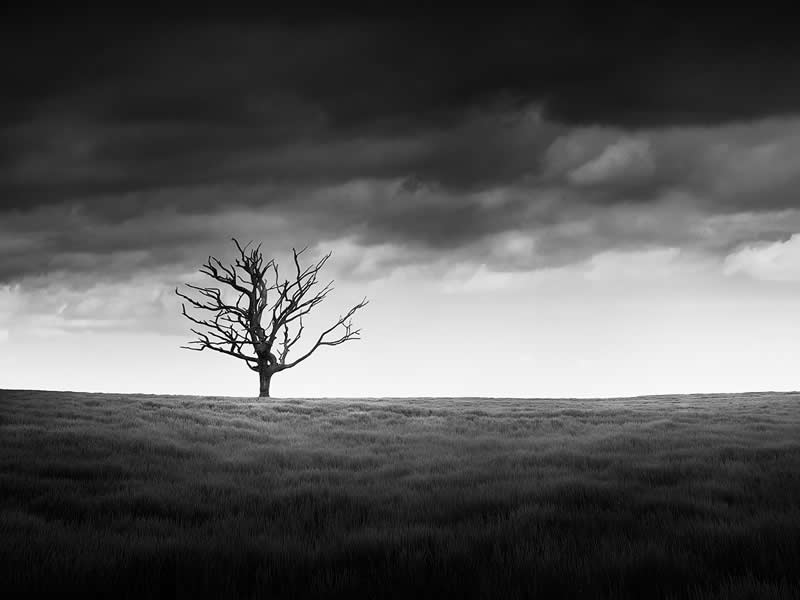 Minimalist Photography Black and White Photography by Mario Tarantino
