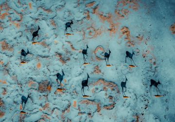 Award-Winning Drone Photos That Capture the Spirit of Adventure from the Sky