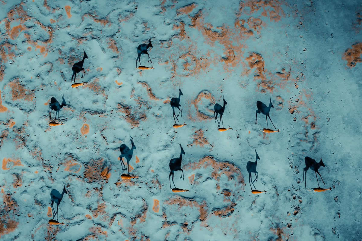 Award-Winning Drone Photos That Capture the Spirit of Adventure from the Sky