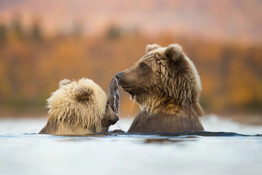 Nature Best Photography Awards Winners