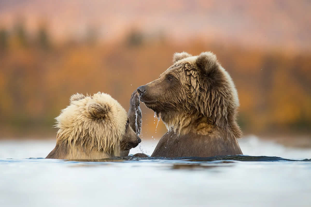 40 Award-Winning Nature Photography Photos That Will Take Your Breath Away