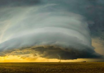 Award Winning Nature Photography