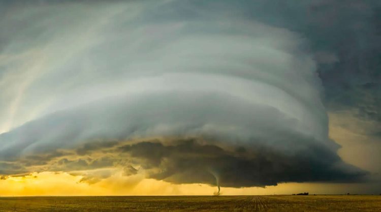 Award Winning Nature Photography