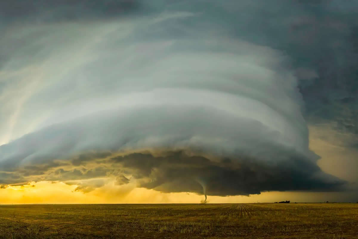 Award Winning Nature Photography