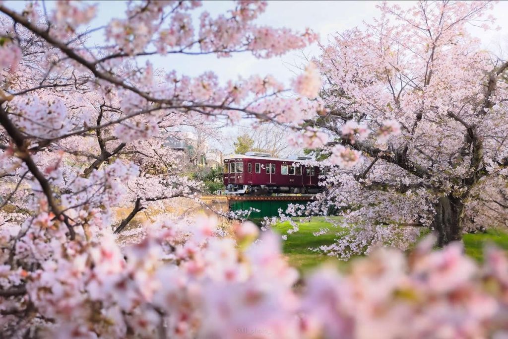 30 Amazing Nature and Landscape Photos That Celebrate the