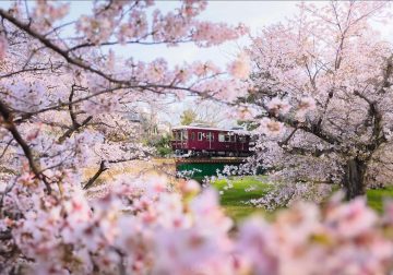Japan Nature And Landscape Photography