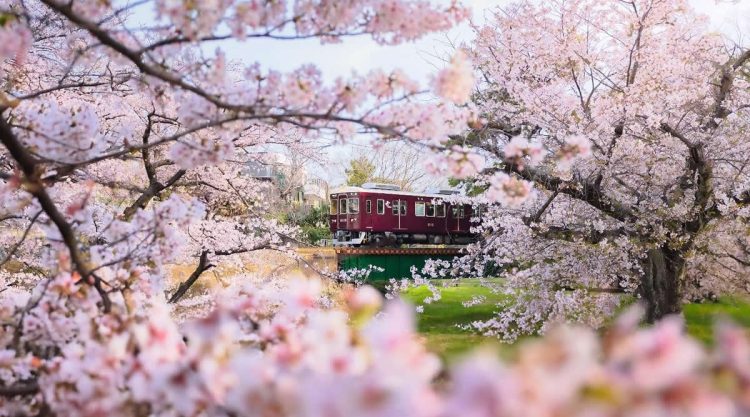 Japan Nature And Landscape Photography