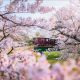 Japan Nature And Landscape Photography