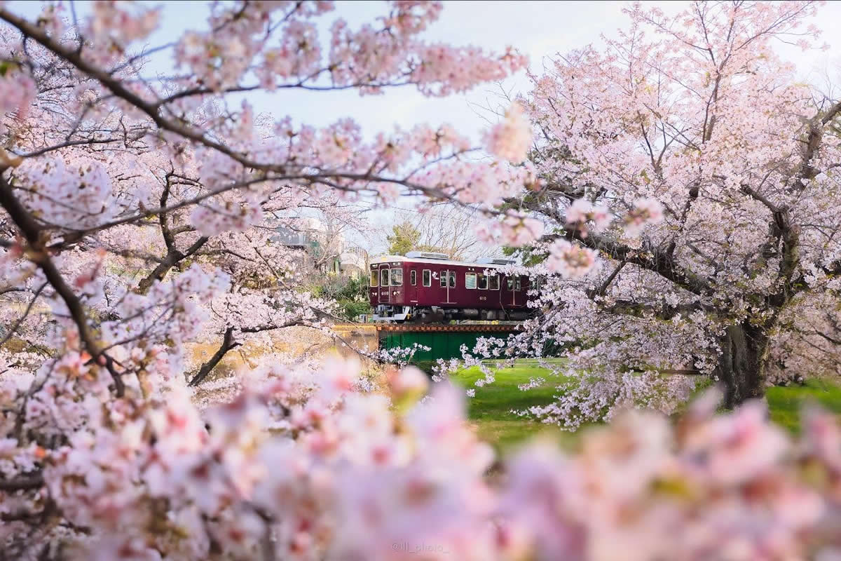 Japan Nature And Landscape Photography