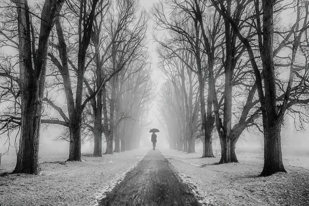 Black-and-White Photos That Showcase Light as the Soul of Photography