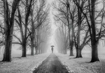Black-and-White Photos That Showcase Light as the Soul of Photography