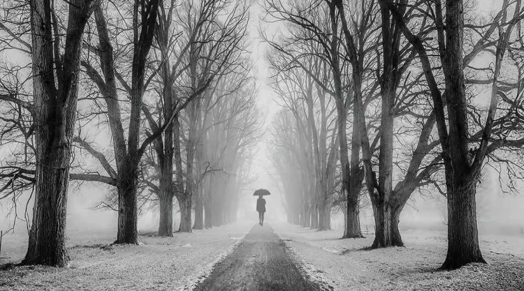 Black-and-White Photos That Showcase Light as the Soul of Photography