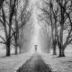 Black-and-White Photos That Showcase Light as the Soul of Photography