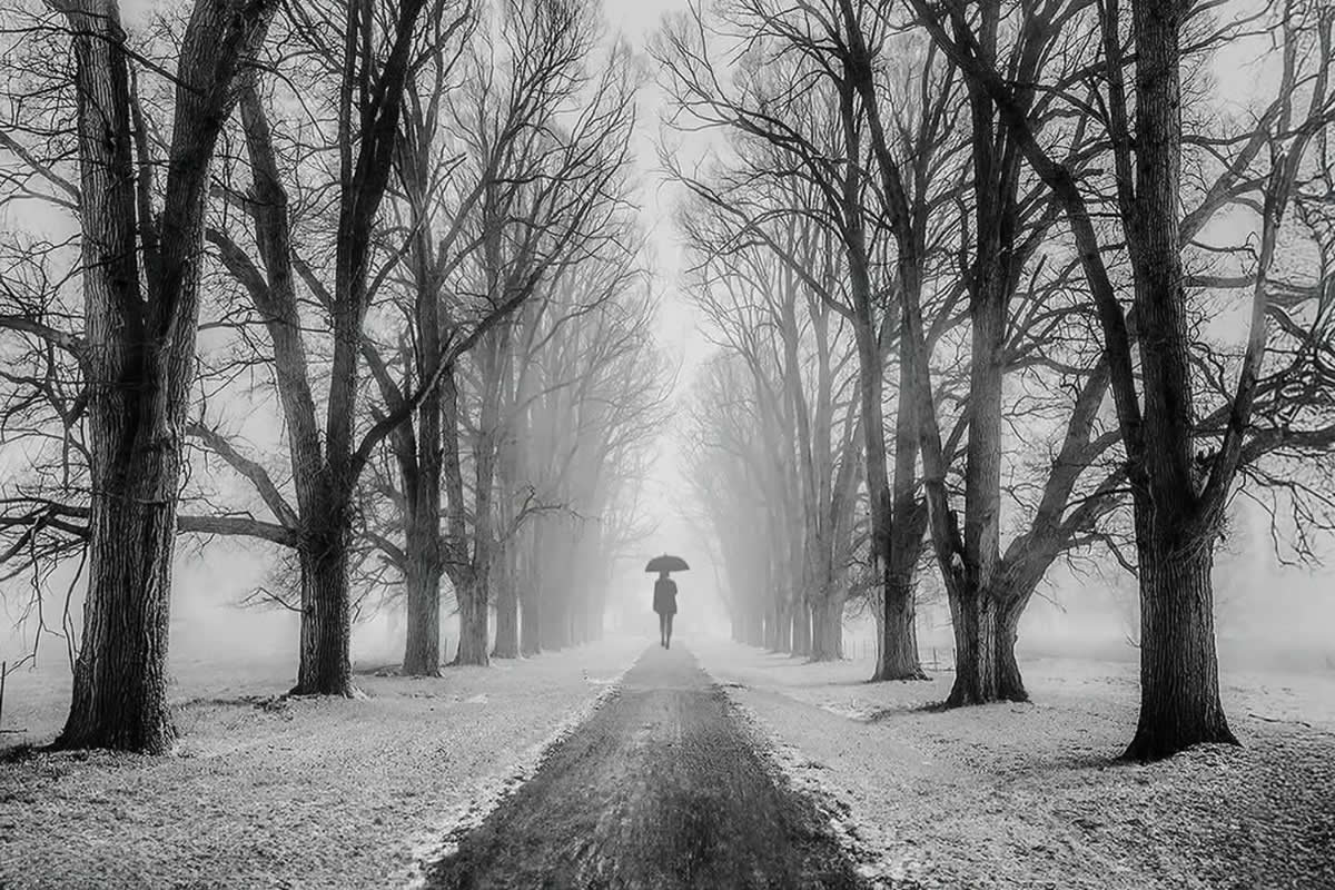 Black-and-White Photos That Showcase Light as the Soul of Photography
