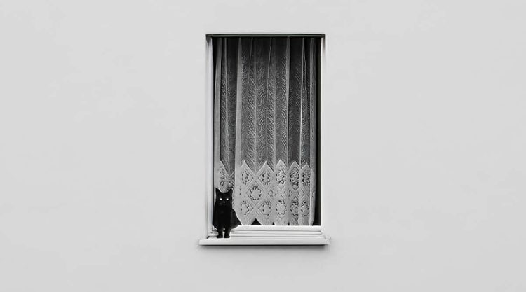Minimalism Black And White Photography Awards