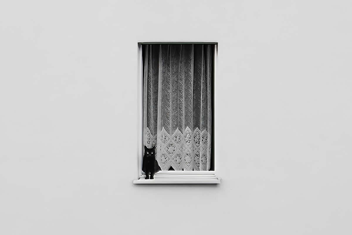 20 Striking Black and White Minimalist Photos That Embrace Simplicity
