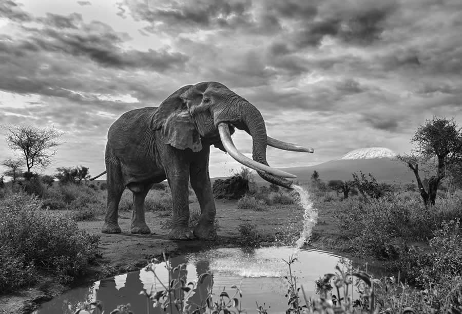 Black and White Photo Awards 2025 Winners