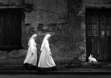 Black and White Photos That Capture the Timeless Beauty of Everyday Life