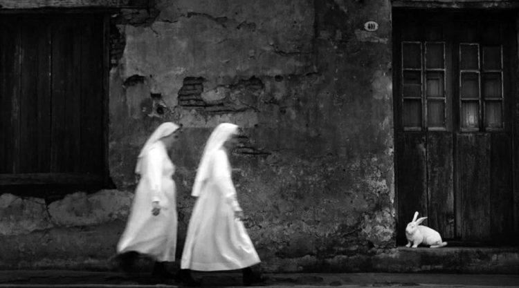 Black and White Photos That Capture the Timeless Beauty of Everyday Life