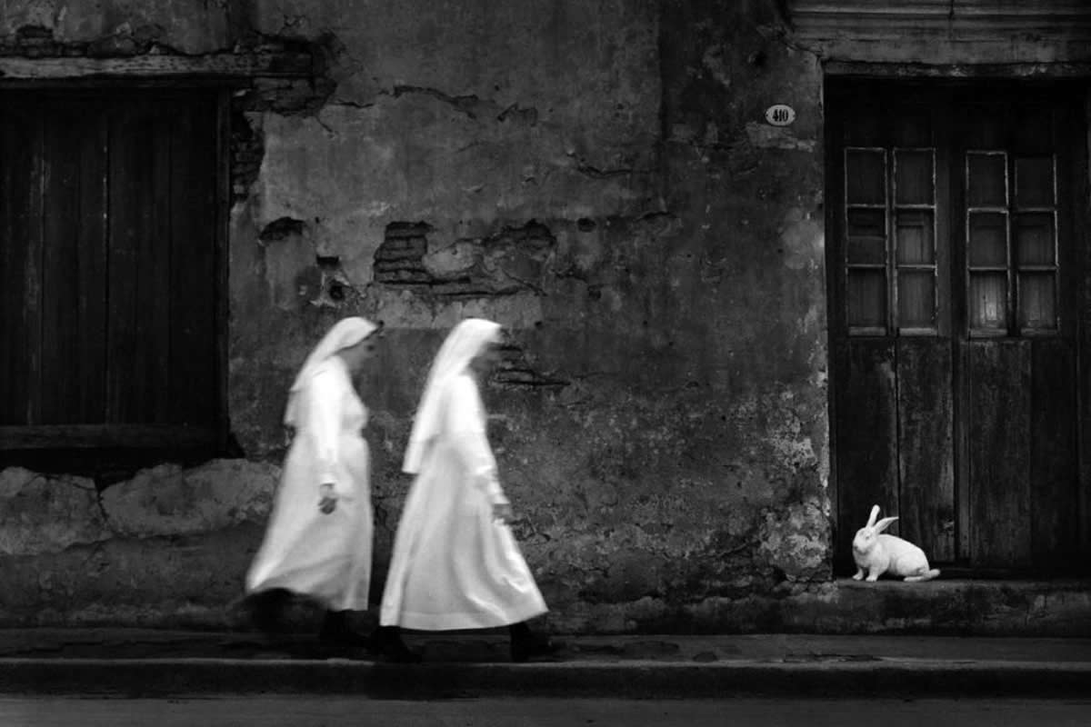 Black and White Photos That Capture the Timeless Beauty of Everyday Life