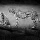 Striking Black and White Wildlife Photos by Johan Siggesson