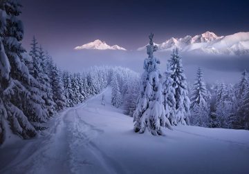 Beautiful Landscape Photography
