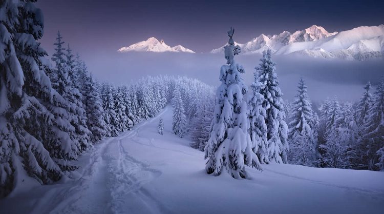 Beautiful Landscape Photography