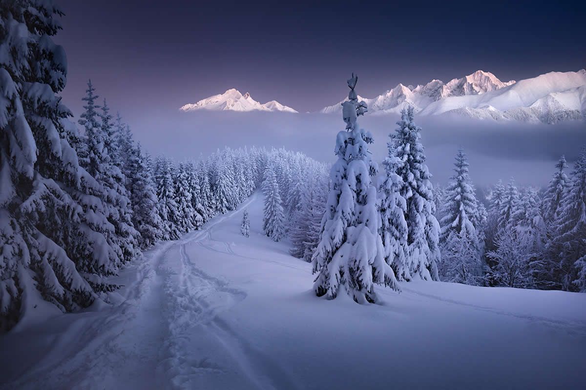 Beautiful Landscape Photography