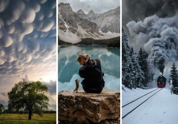 Nature and Life Created Picture-Perfect Wonders