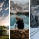 Nature and Life Created Picture-Perfect Wonders