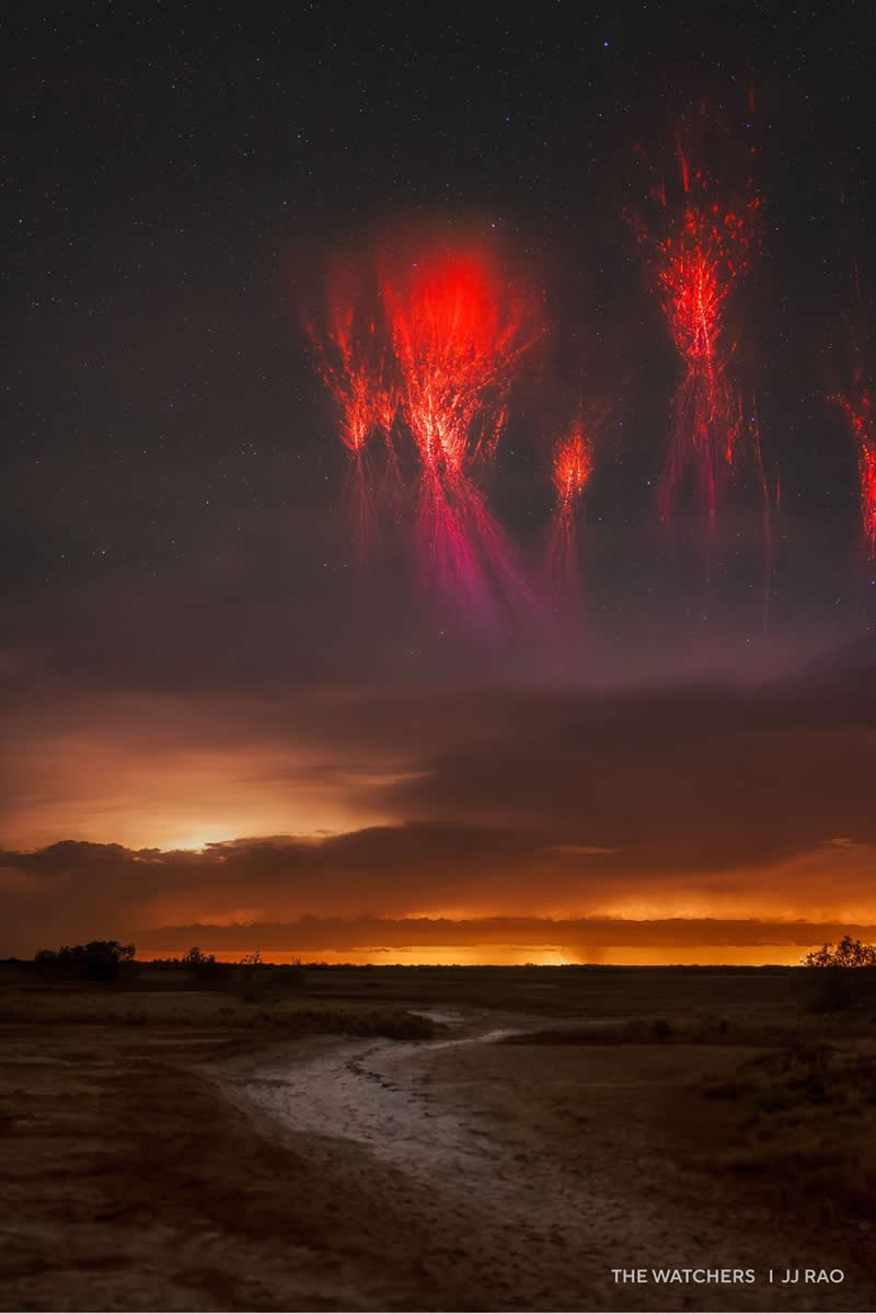 Capture the Dark 2025 Photo Contest Winners