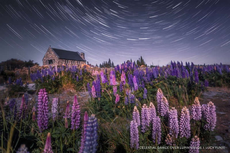 Capture the Dark 2025 Photo Contest Winners