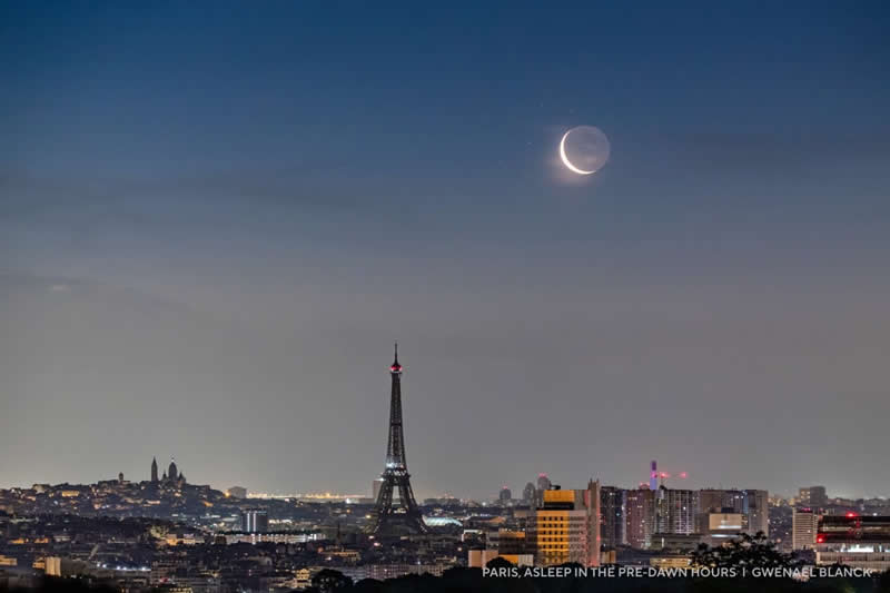 Capture the Dark 2025 Photo Contest Winners