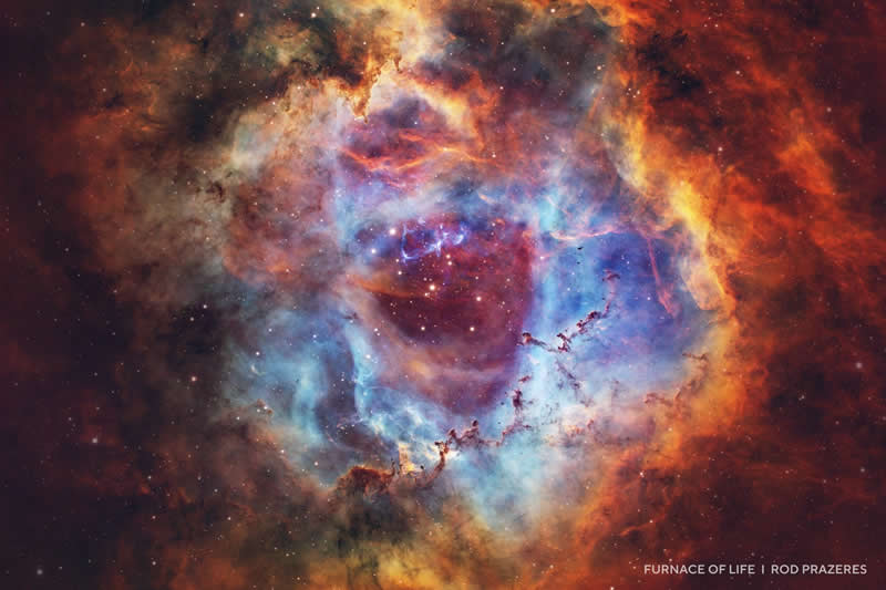 Capture the Dark 2025 Photo Contest Winners