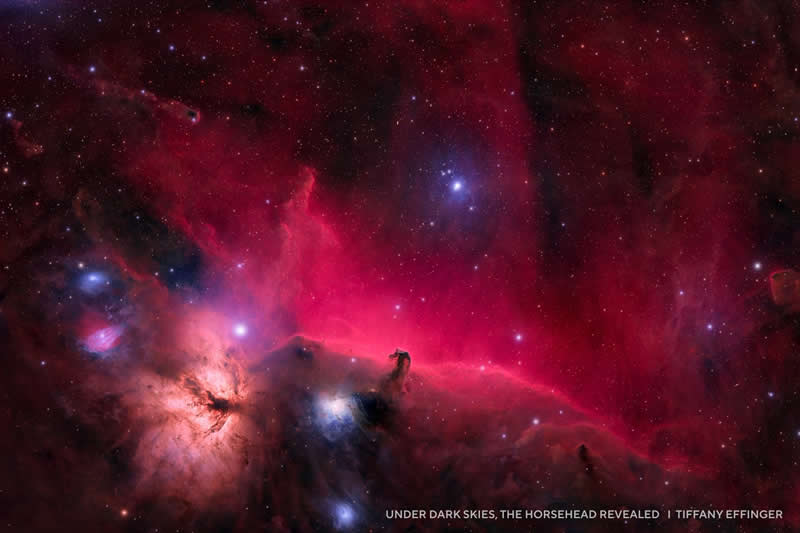 Capture the Dark 2025 Photo Contest Winners