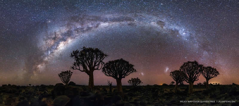 Capture the Dark 2025 Photo Contest Winners