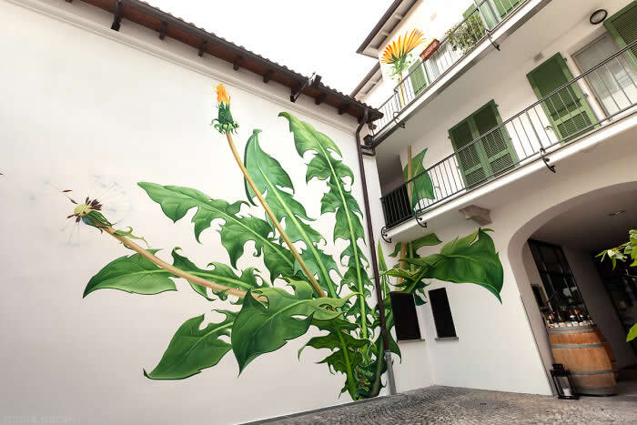 Brilliant Street Artworks That Show Creativity