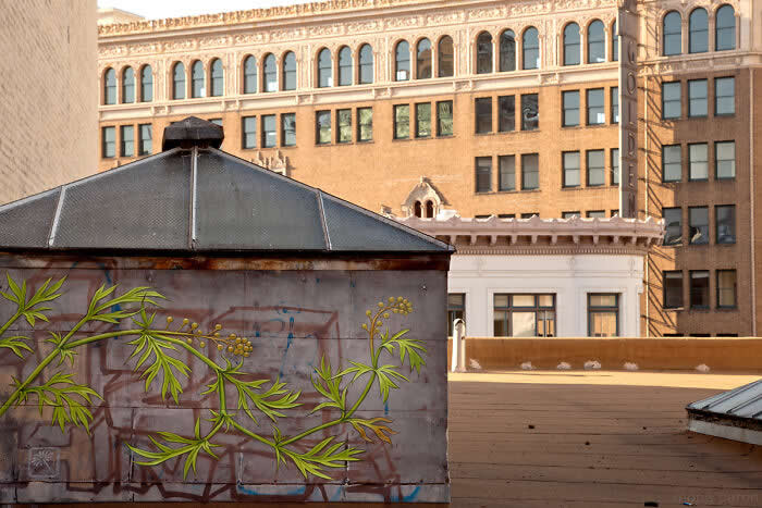 Brilliant Street Artworks That Show Creativity