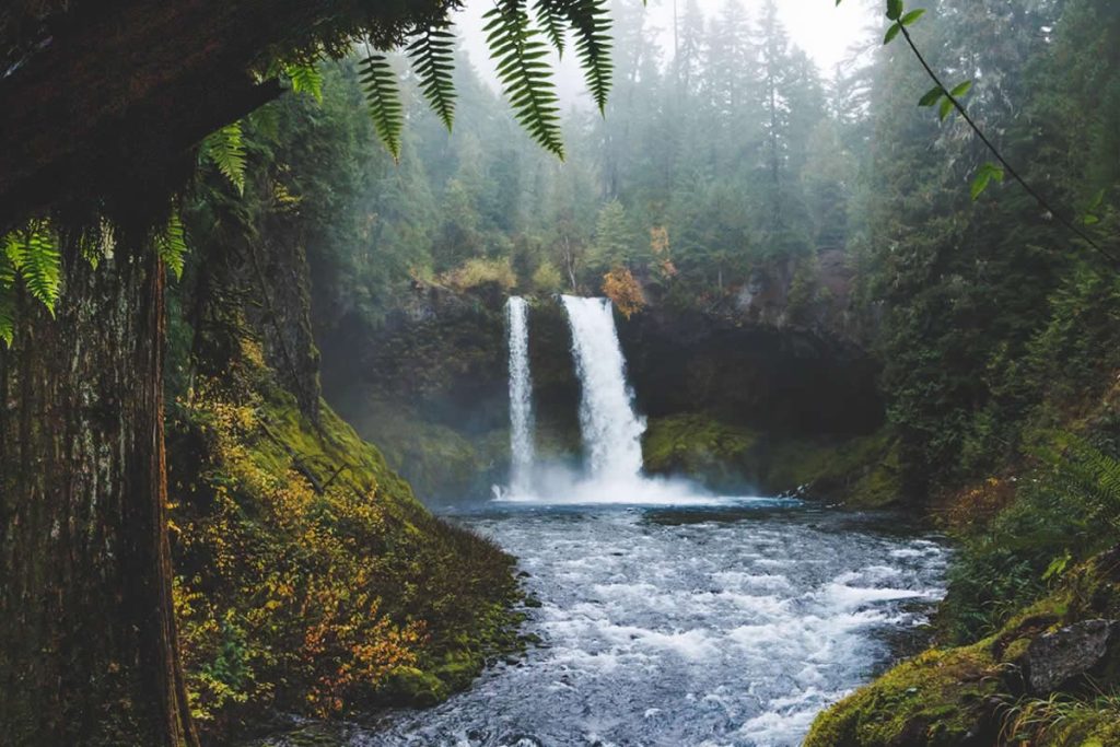 Dreamlike Landscapes That Reveal the Magic of the Natural World