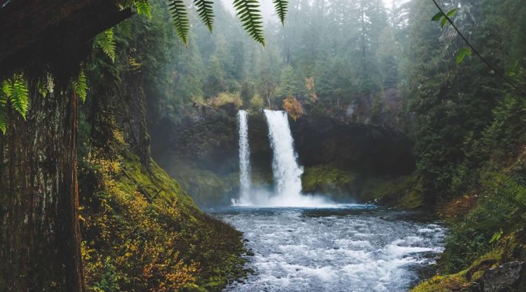Dreamlike Landscapes That Reveal the Magic of the Natural World