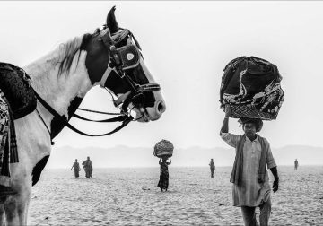 Street and Travel Winners from the 2025 Exposure One Award