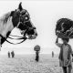 Street and Travel Winners from the 2025 Exposure One Award