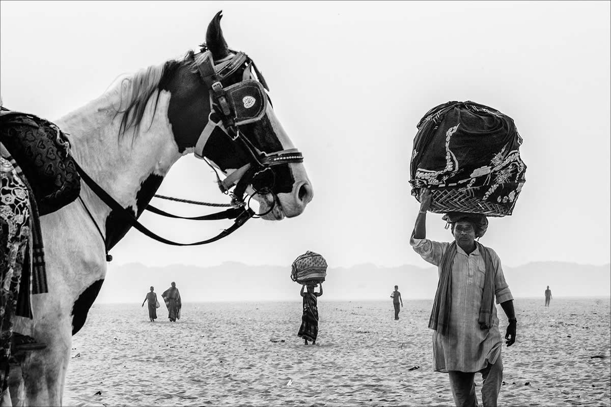 Street and Travel Winners from the 2025 Exposure One Award