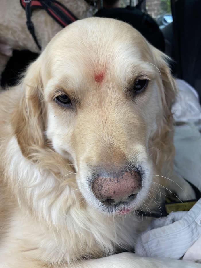 Feel-Good Animal Photos That Will Brighten Your Day