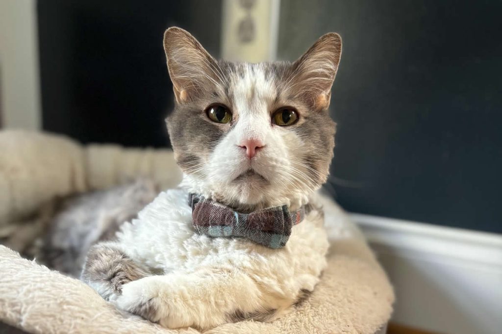 Feel-Good Animal Photos That Will Brighten Your Day