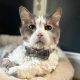 Feel-Good Animal Photos That Will Brighten Your Day