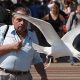 Funny Moments When Birds Decided to Steal the Spotlight